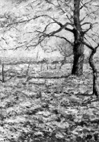 Walter Ophey